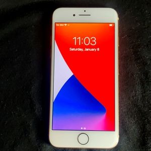 Apple iPhone 8 (A1863)